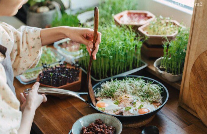 So sánh thực phẩm hữu cơ & thực phẩm thường: Sự khác biệt bạn nên biết