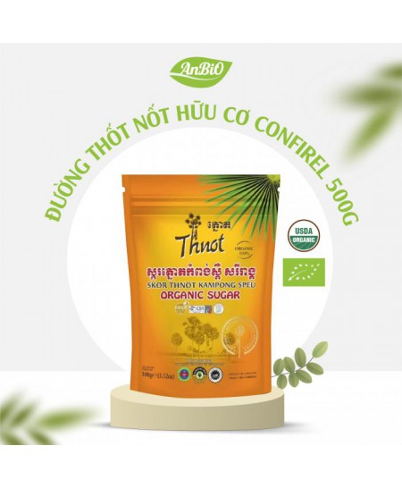 Đường thốt nốt hữu cơ Syrup (500g)