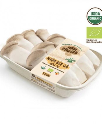 Nấm đùi gà Organic 200g/500g