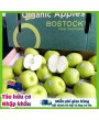 Táo hữu cơ Granny Smit Nhập khẩu New zealand mùa vụ mới 2025 [ Giá 1KG -> 3KG Freeship nội thành HN]